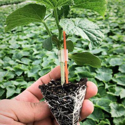 Silicone Grafting Tube Clips Use for Tomato Grafting 1.2-3mm Horticultural Silicone Grafting Clip photo-2