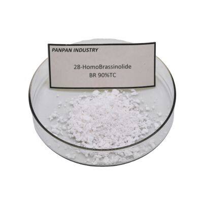 Wholesale Price Chemical 28 High Brassinolide 90%Tc With Good Quality photo-1