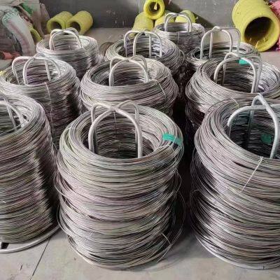 Electro Electric Stainless Steel Wire Mesh Galvanized Wire for Fence