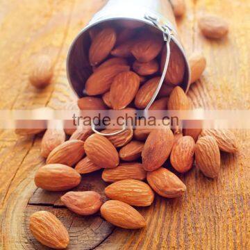 China origin almond nuts