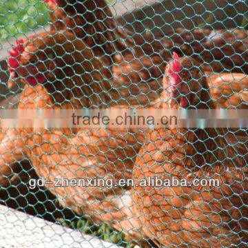 High Zinc-Coated Chicken Runs & Poultry Hexaganal fencing(factory in Guangzhou)