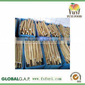 Top Quality wild yam, best price Dioscorea opposita