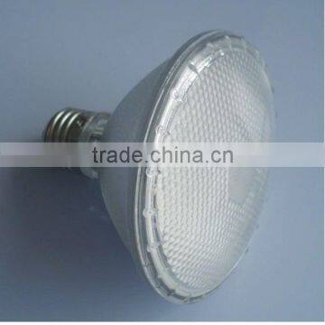 LED Light (PAR30)