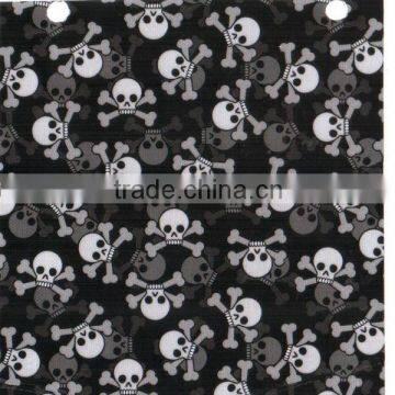 Hot Selling Skull Water Transfer Printing Film RD269 photo-6