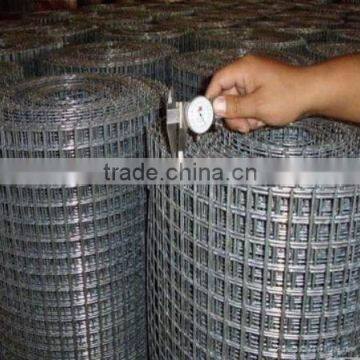 welded wire mesh(factory)