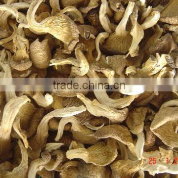 Dried Hypsizigus Marmoreus Mushrooms Grade A