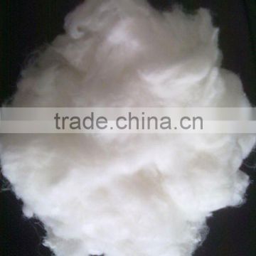 Nylon staple Fiber