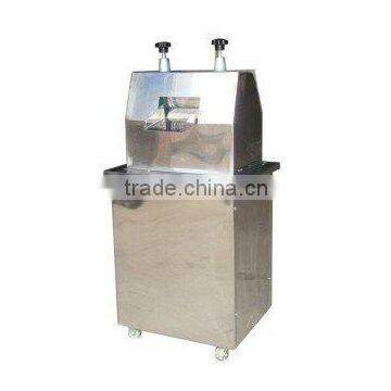 0.37kw Ginger Juice Extractor