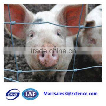 Alibaba best sale export factory pig fence,goat fence, cow fence