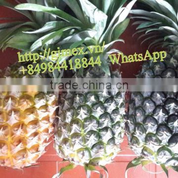 Pineapple High Quality, Best price