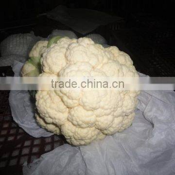 Chinese cauliflower