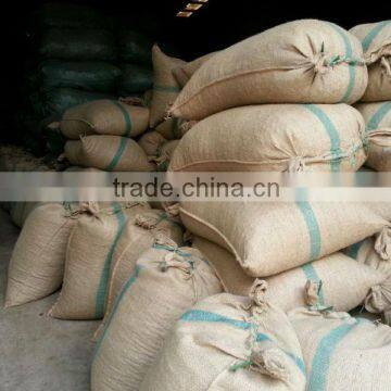 VIETNAM SCAPHIUM SCAPHIGERUM photo-3