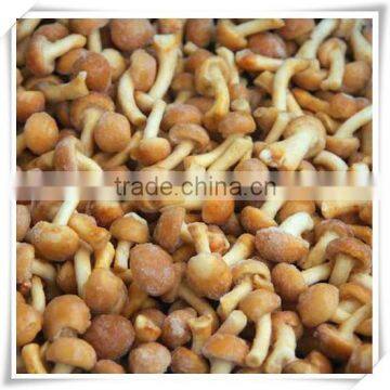 Frozen Nameko photo-3