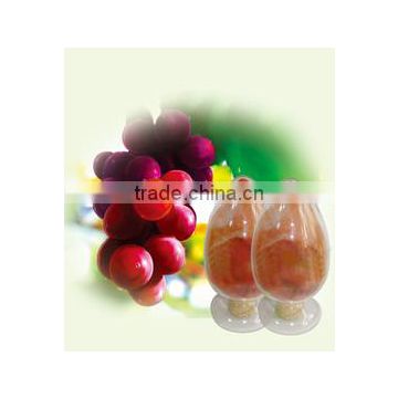 Factory Bulk-supply100% Natural Freeze-Dried Grape Juice Fruit Powder Vitis vinifera forFood and Beverage