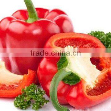 dried bell pepper vegetable