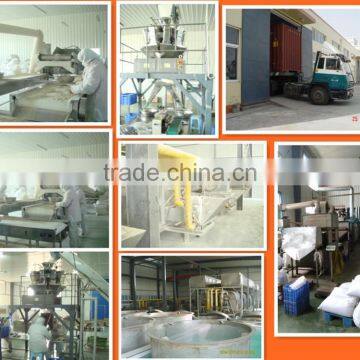 Good Quality Original Flavor Water Melon Seeds photo-5