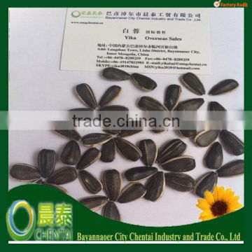 New Crop Hot Sell High Quality Cheap Sunflower seeds 24/68