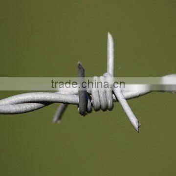 High good quality galvanized Barbed Wire Manufacturer (Factory)