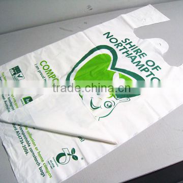 Biodegradable PLA shopping bag