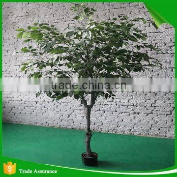Large Outdoor and Indoor Decorative Imitation Artificial Ficus Tree photo-3