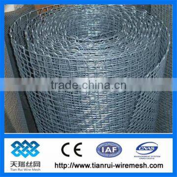 Crimped wire mesh (China Plant)