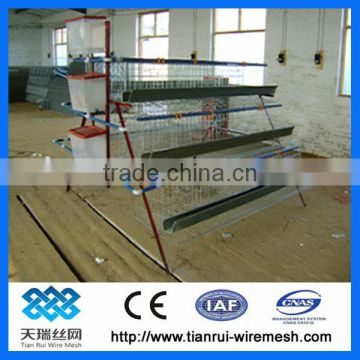 hot sale A type chicken cage for chicken farm