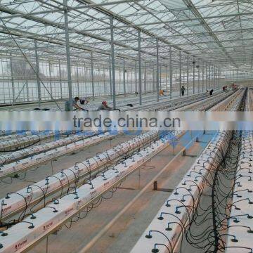 Glasshouse for Vegetable or Flower photo-2