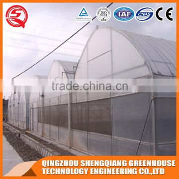 2017 grow tent plastic greenhouse for vegetable plant made in China