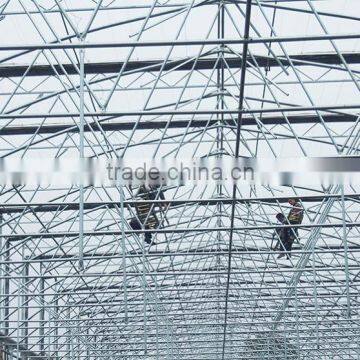 Multi Span Plastic Roofing Sheets Agricultural Commercial Greenhouses for Sale photo-4