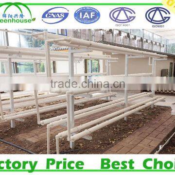 Hydroponic Systems Greenhouse for Agriculture photo-3