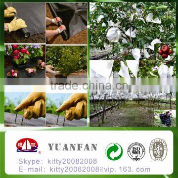 China Polypropylene Nonwoven Fabric , Weed Control,grape Cover photo-4