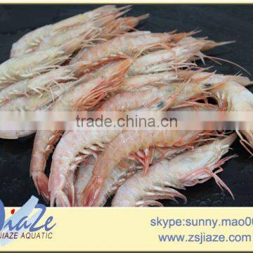 pink shrimp IQF/BQF