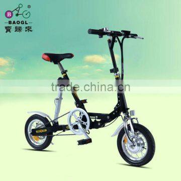 Folding Electric Bicycle With EN15194