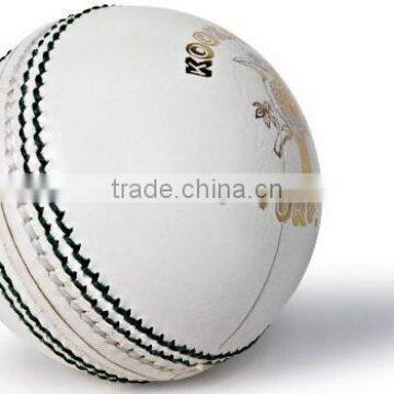 T-20 Cricket Balls