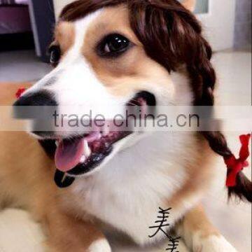 R1941H Lovely Cute dog wig,wigs for dogs,dog wig