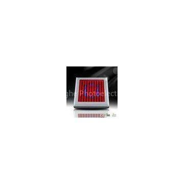 Red, Blue 150w Ip54 AC85 - 265v PC 11000lm Sheet Led Panel Lighting With Corrupt - Proof