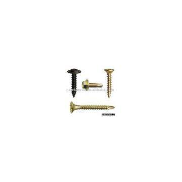 Self tapping Screw