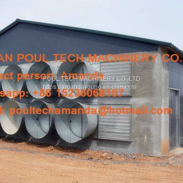 Cameroon Chicken Farm A Type Automatic Laying Hen Cage & Egg Hen Coop System with 90-200 birds in Chicken Coop