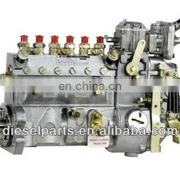 6BTA Fuel Injection Pump 10 402 446 019 10402446019 AD6019,CPES6AD95D320/3RS2110 Injection pump