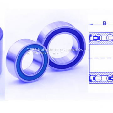 AC Compressor OEM Clutch Bearing