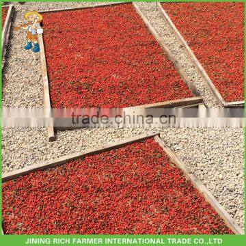 Dried Goji Berry Of 380 Grains Per 50 Gram