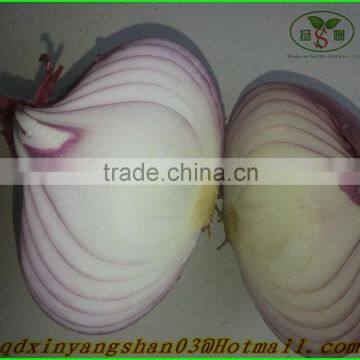 (CHINA OFFER ) Red Dried Onion /Fresh Onion