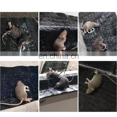Factory Wholesale High Quality Sticky Mouse Magic Carpet Shopping Malls Hotels Household Universal Mouse Trapping Magic