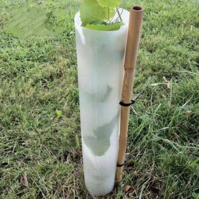 PP Correx Tree Protectors – UV Treated Sapling Guard Tubes / Tree Shelter Panels photo-2