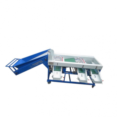 Core Components PLC Pompe à engrenages Moteur de moteur Palier ; Machine de triage de pommes de terre et de classement de fruits et légumes