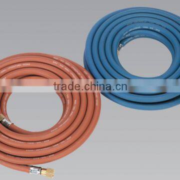 Chinese Manufacturer 1/4 Inch x 10m Double Line Hose