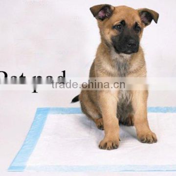 puppy training pad