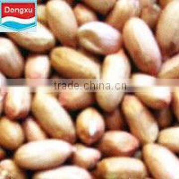 factory directly sale peanut 24/28
