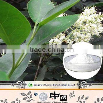 Factory supply high quality natural organic Glossy Privet Extract