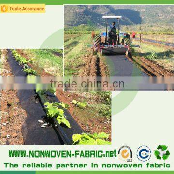 Black Nonwoven Spunbond Fabric for Garden, Weed Control Fabric photo-4